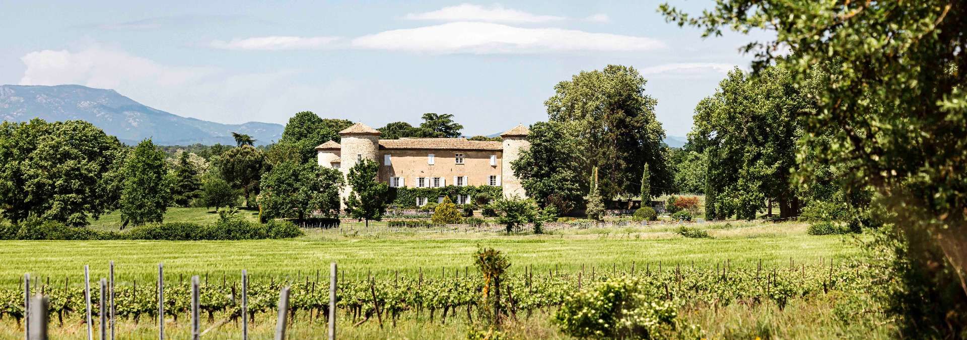 Château de la Selve - Rue des Vignerons