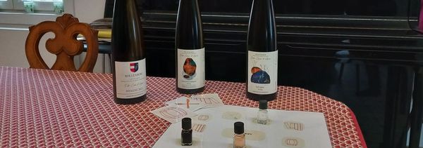 Una pausa di scoperta per grandi e piccini-photo