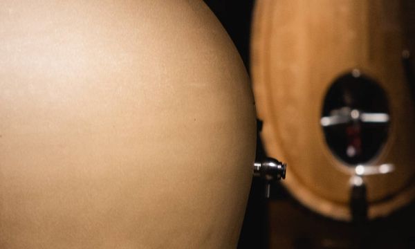 Immersion in the heart of the winery and our cellar-photo