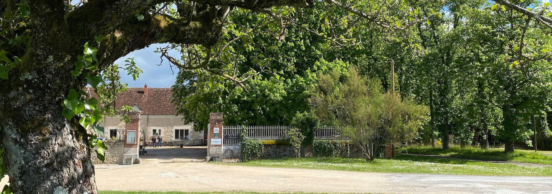 Domaine les Pierres d'Aurèle - Rue des Vignerons