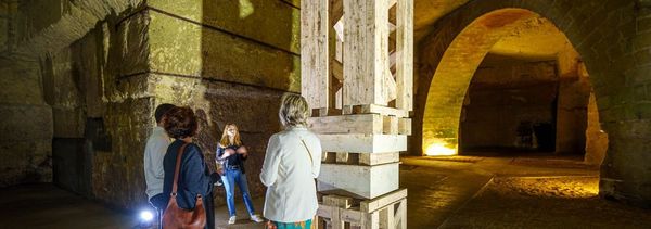 Visita guidata delle cantine seguita da una sessione di degustazione-photo