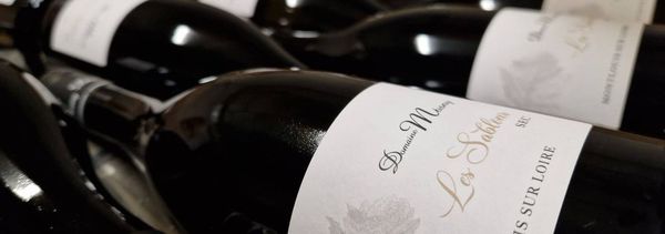 Discovery of the Chenin blanc-photo
