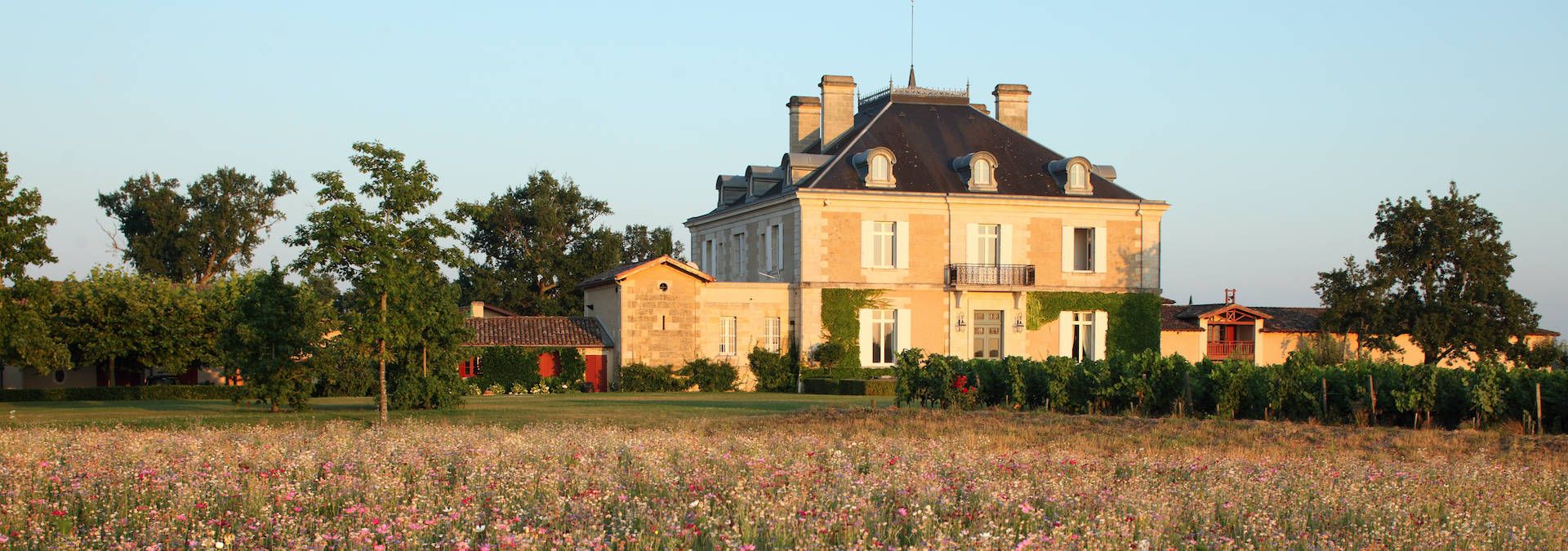 Château Haut-Bailly - Rue des Vignerons