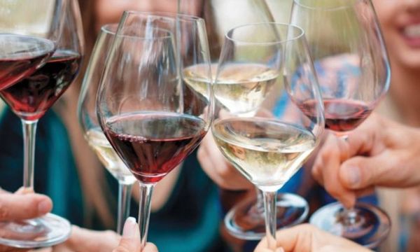 Dégustation commentée de 6 vins-photo