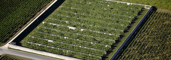 Open Monumentendagen 2025: Clos d'entre les murs-photo