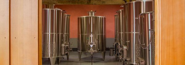 From cellar to barrel... to glass-photo