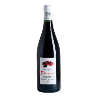 Maison Audebert & Fils Sur le fruit 2016 Red wine