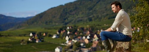 Domaine Jean Lehmann photo