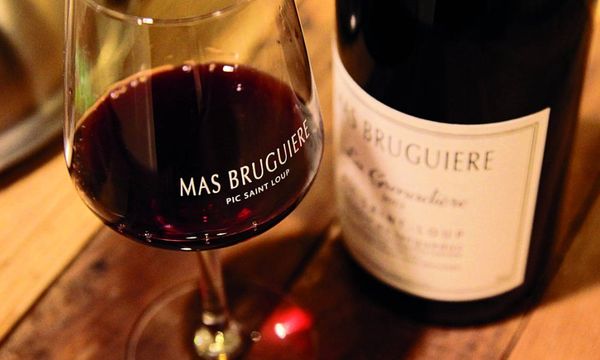 Discovery of the Mas Bruguière vintages-photo