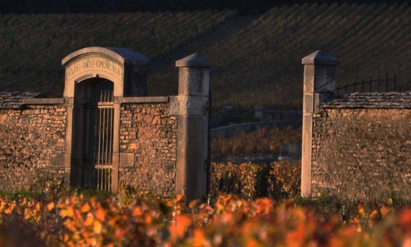 Excursión de un día a Côte de Nuits y Côte de Beaune-photo