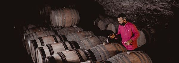 Una panoramica di alcuni grandi terroir-photo