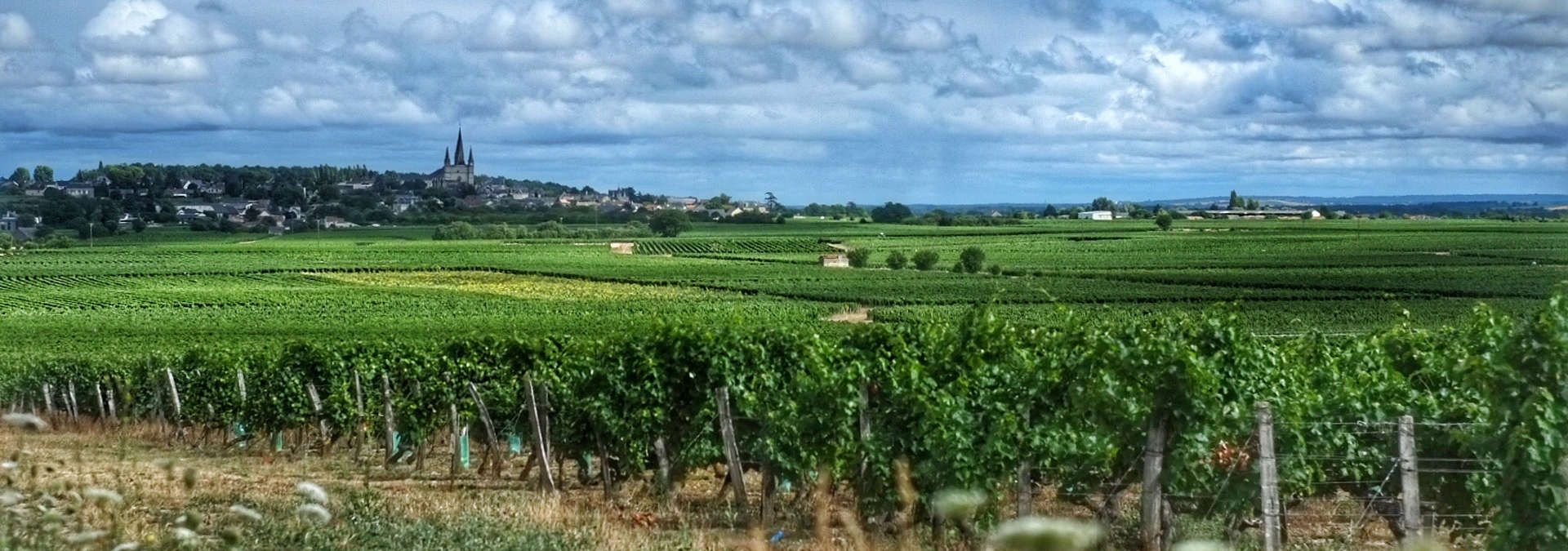 Domaine du vieux pressoir - Rue des Vignerons