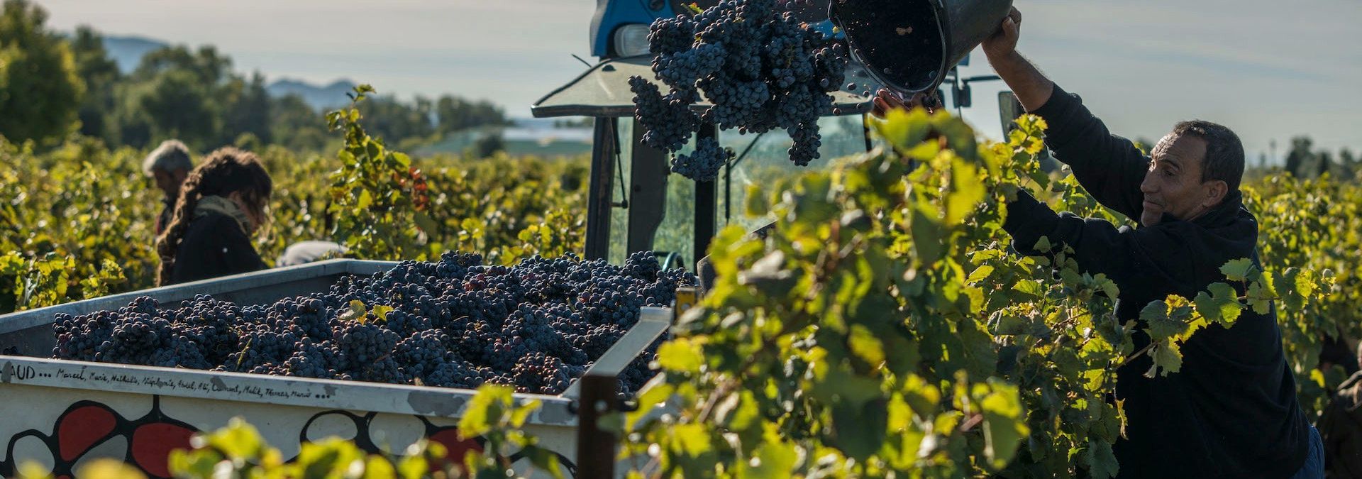 Domaine Richaud - Rue des Vignerons 