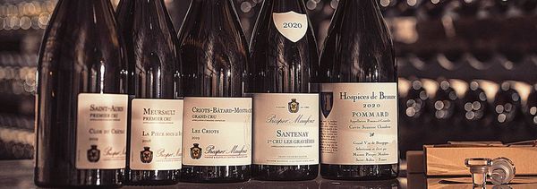 Experiencia Grands Crus-photo