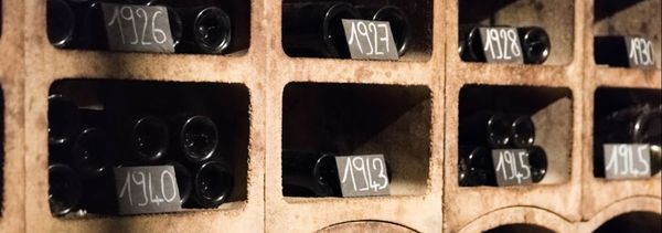 Discovering the vintages-photo