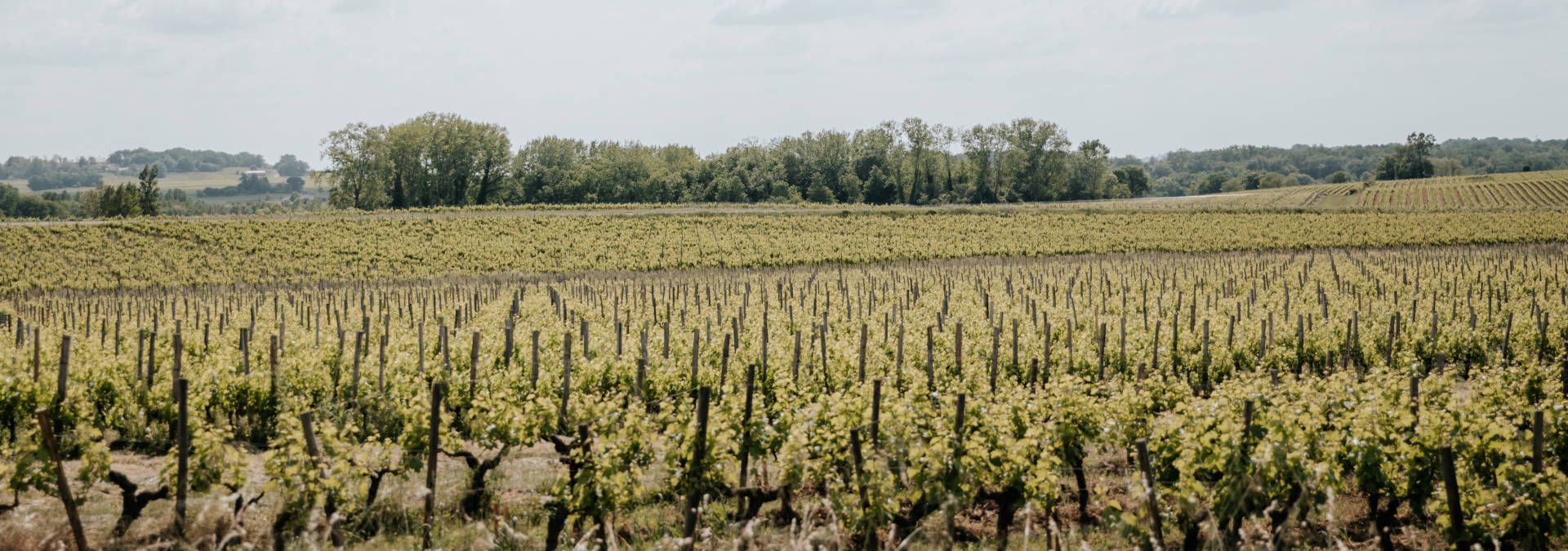 Château La Grande Clotte - Rue des Vignerons