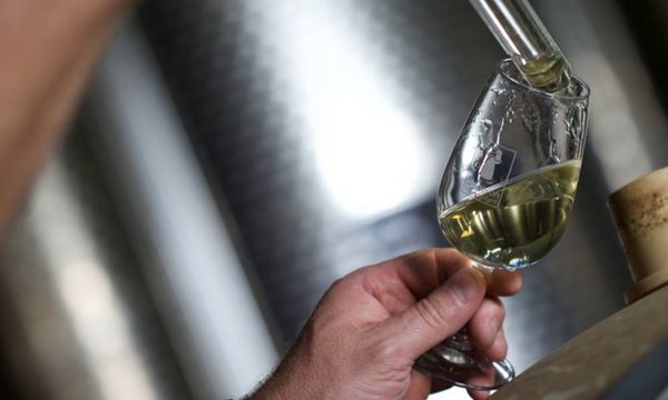 Degustazione di 2 champagne-photo