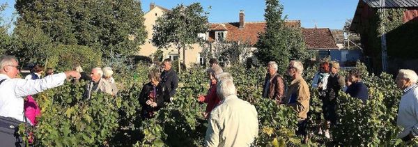 Entdeckung unseres Weinguts (Gruppe)-photo