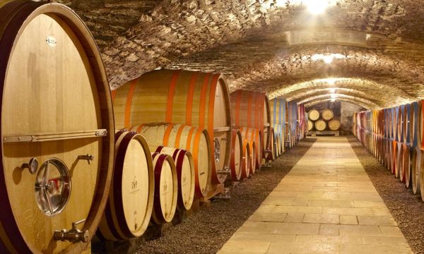 Secrets of Burgundy Wines-photo