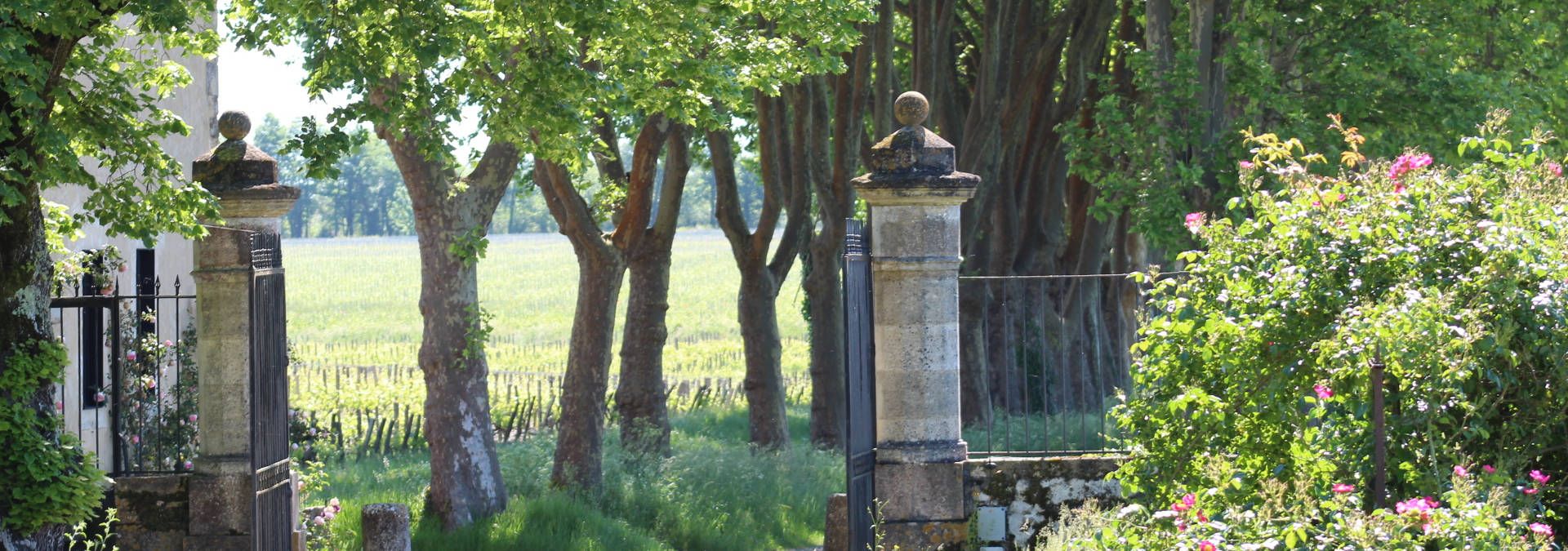 Château Guiraud - Rue des Vignerons