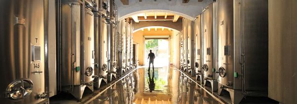 Découverte du domaine et de ses vins-photo
