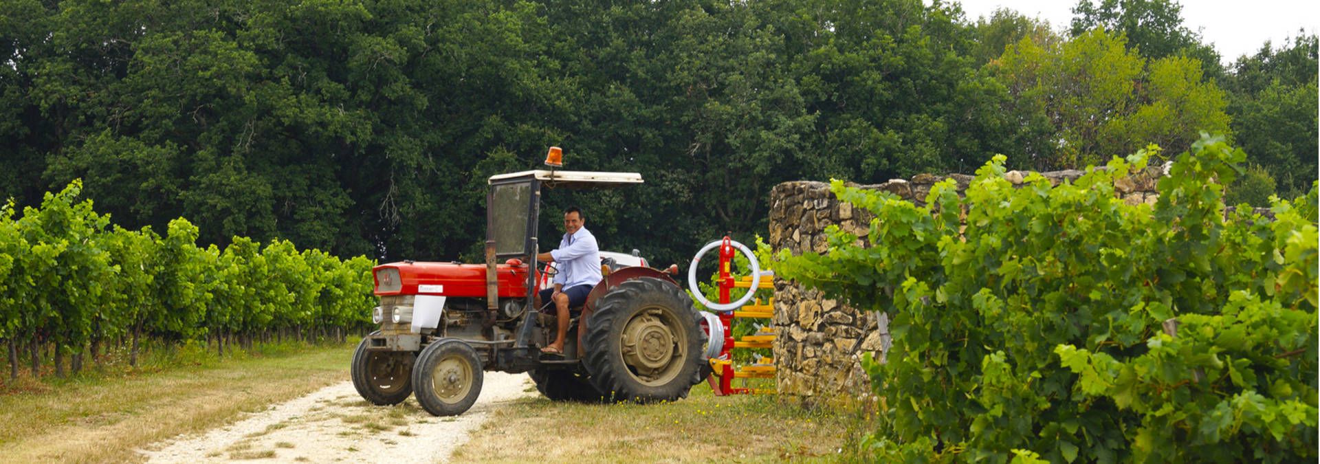 Domaine du Haut Pécharmant - Rue des Vignerons