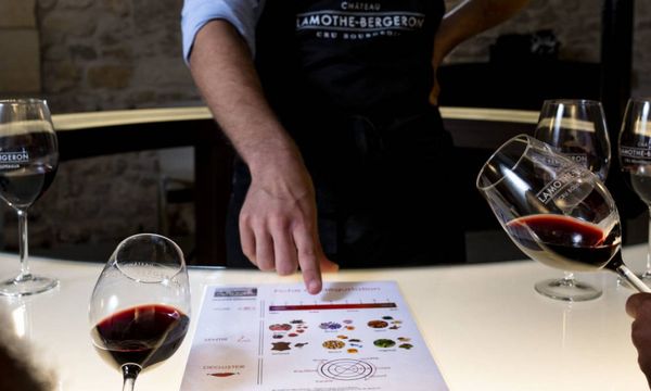 The Sommelier Experience-photo