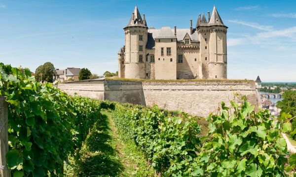 Excursión de un día a Bourgueil y Chinon, desde Tours-photo