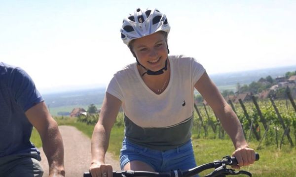 Electric bike, Picnic & Wine-photo