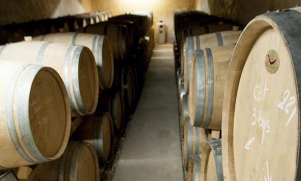 Visite d'un domaine viticole de Touraine-photo