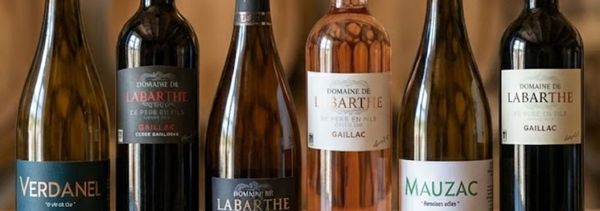 Dégustation de nos vins-photo