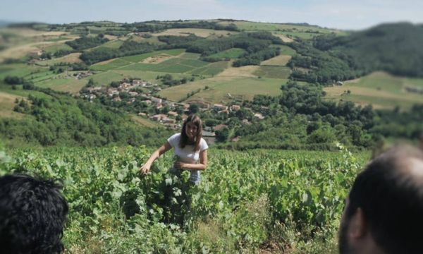 Balade dans les vignes et dégustation 4 vins bios-photo