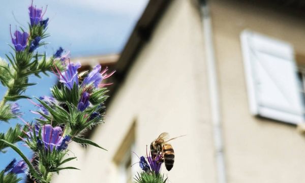 Stay in the heart of the Beaujolais-photo