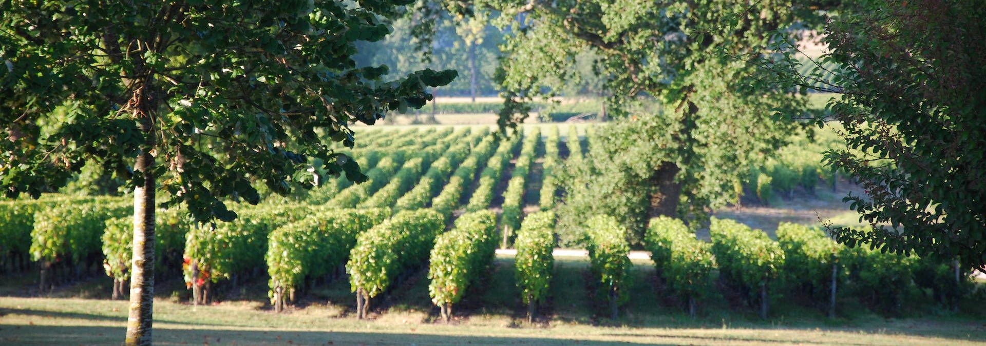 Château Fonréaud - Rue des Vignerons