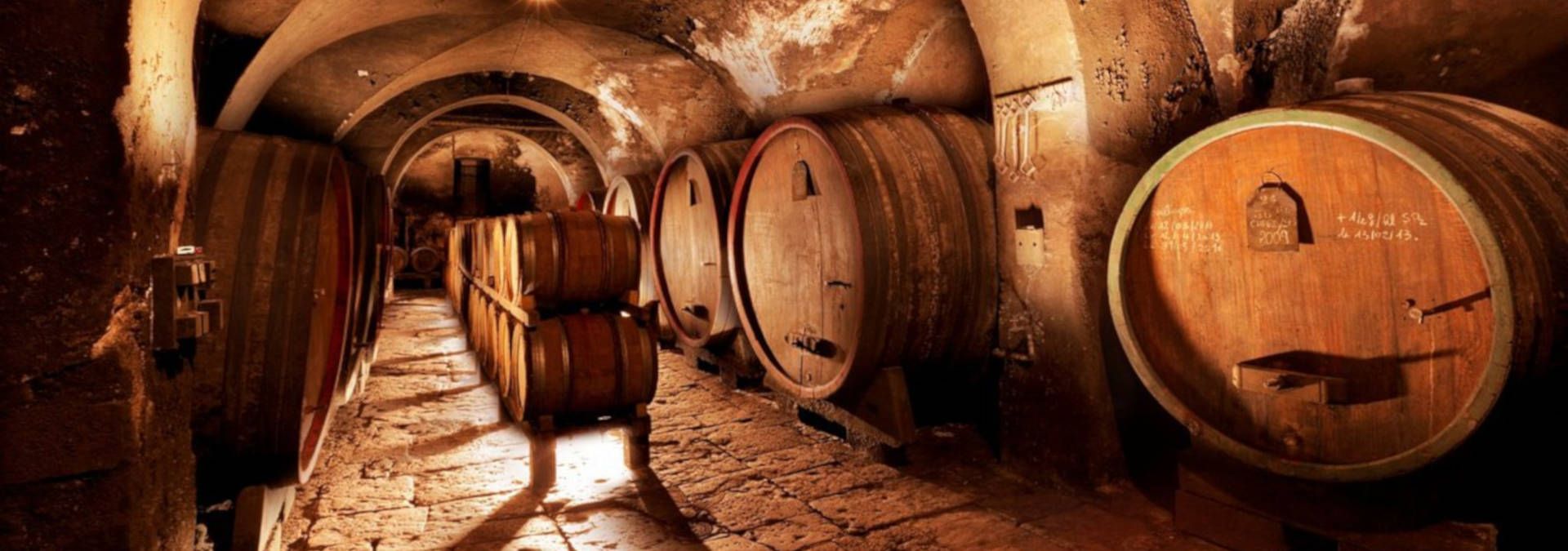 Château d'Arlay - Rue des Vignerons