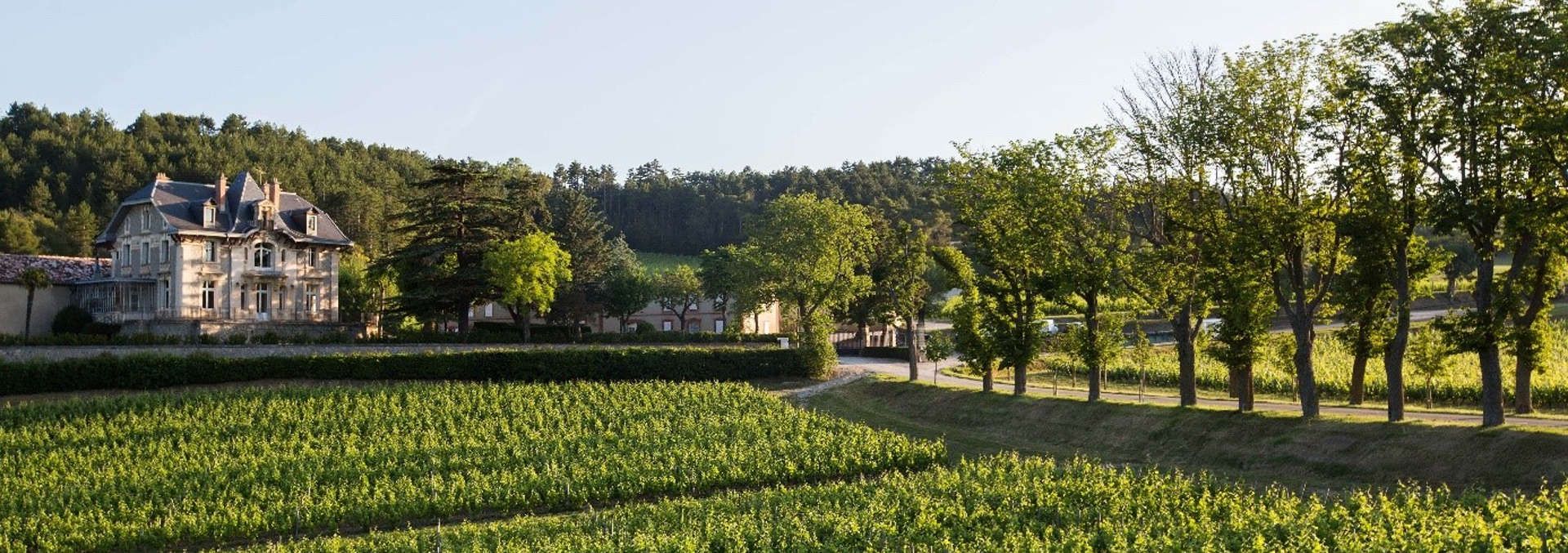 Domaine de Baronarques - Rue des Vignerons