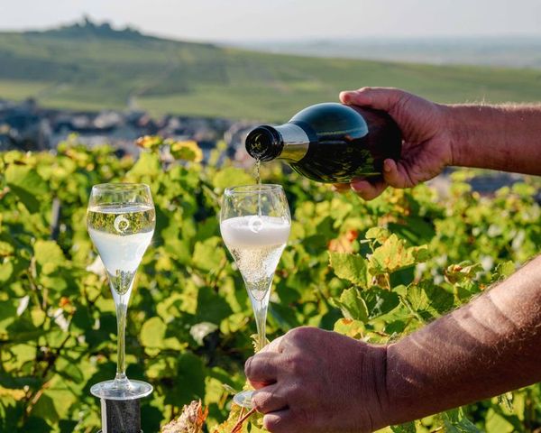 L'ora del cocktail-photo