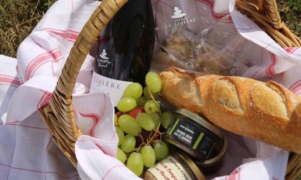 Picknickmand in het hart van de wijngaarden-photo