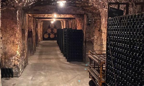 Discover Champagne Lancelot-Royer-photo