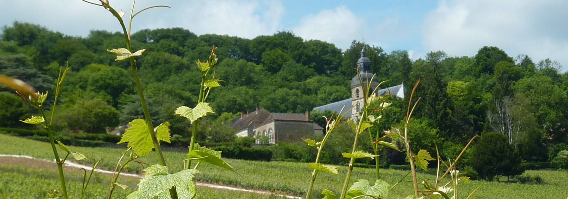 Champagne Jean-Philippe Bosser - Rue des Vignerons