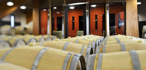 Château La Croizille, Grand Cru Classé photo