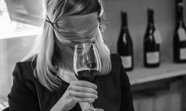 Dégustation à l'aveugle de 3 vins-photo