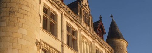 Château du Petit Thouars photo