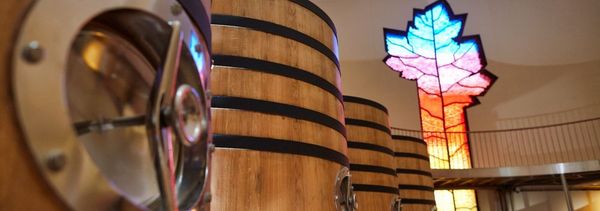 Cantina delle Orsoline-photo