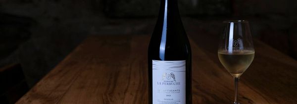 Inleidende proeverij-photo