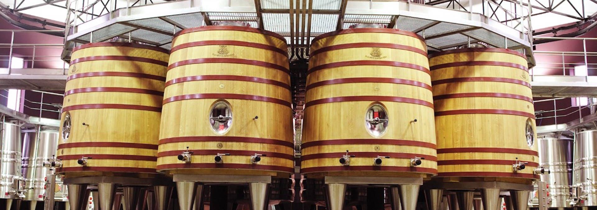 Château Château Malartic-Lagravière - Rue des Vignerons