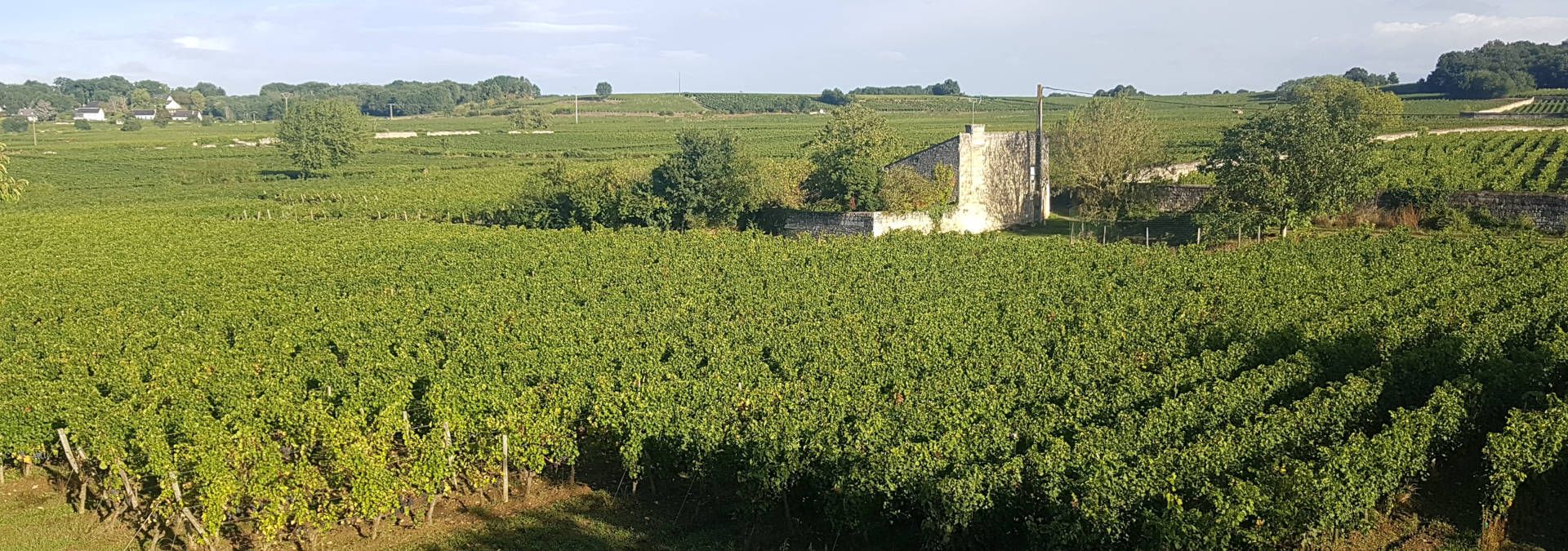 Domaine Filliatreau - La Grande Vignolle - Rue des Vignerons