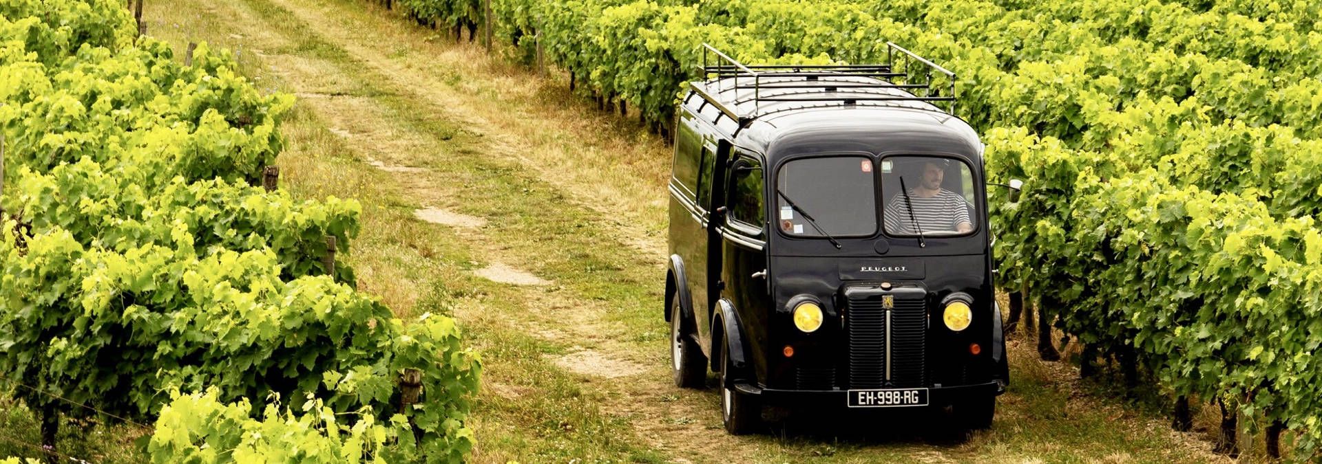 Bourgoin Cognac - Rue des Vignerons