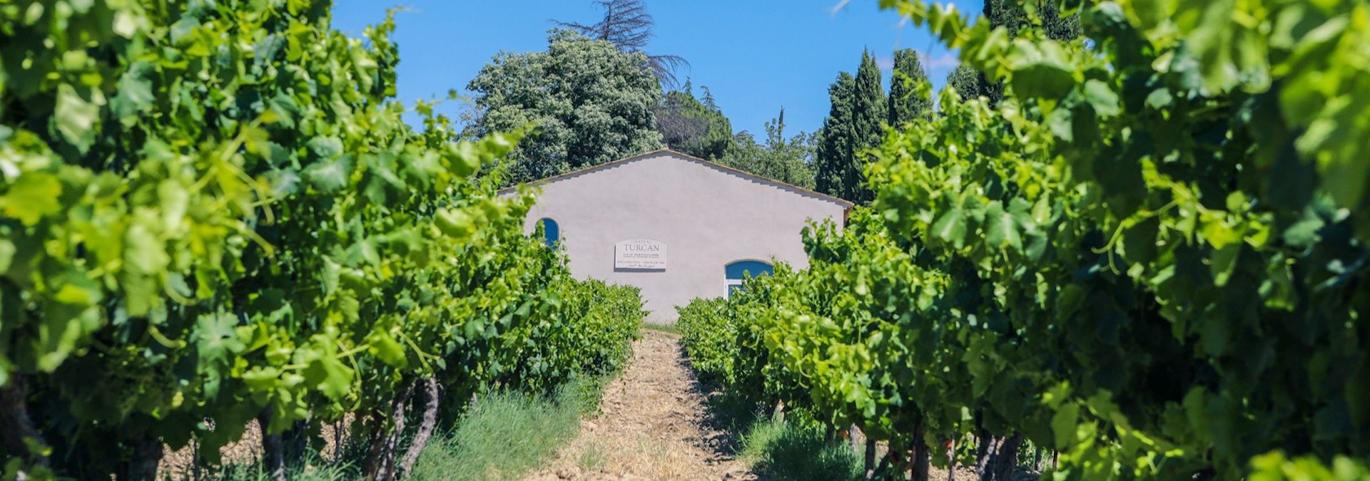 Château Turcan - Rue des Vignerons