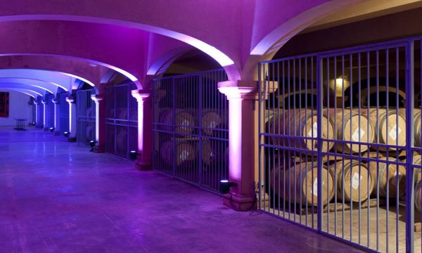 Visite en groupe & dégustation de 4 vins-photo